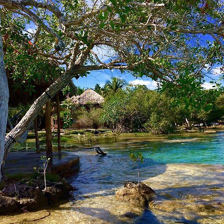 Hotel Casa Caracol Bacalar Exteriér fotografie