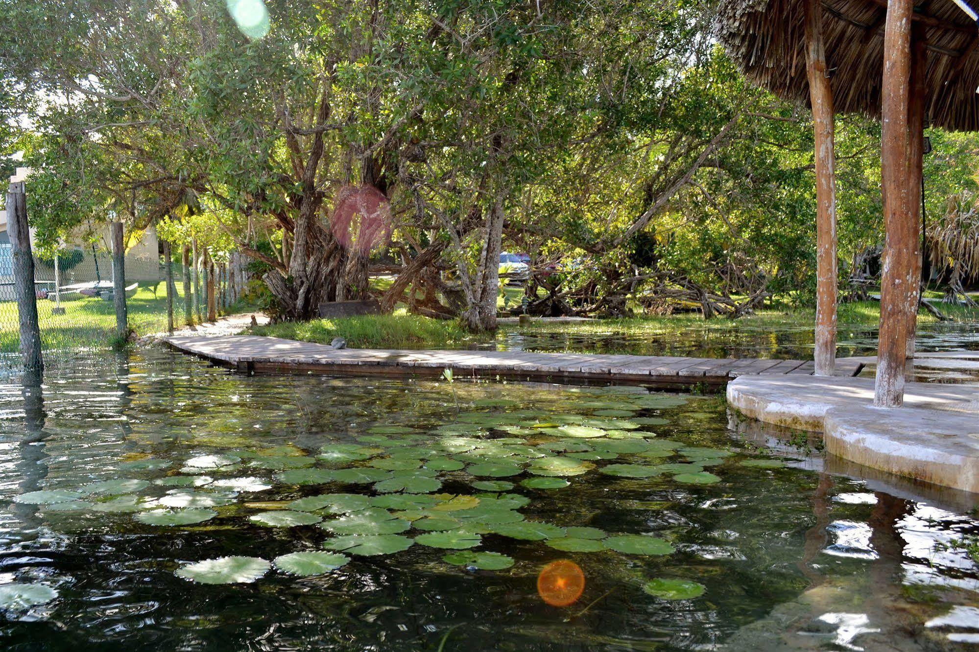 Hotel Casa Caracol Bacalar Exteriér fotografie