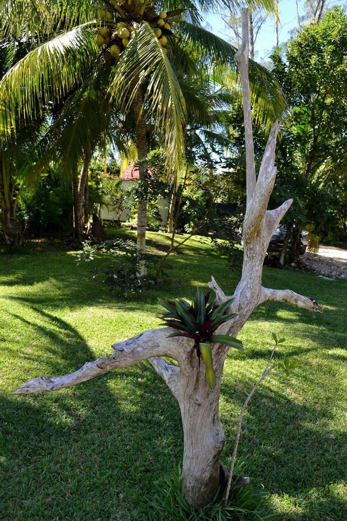 Hotel Casa Caracol Bacalar Exteriér fotografie
